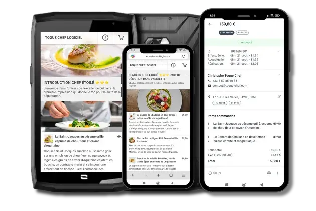 logiciel restaurant, A propos de Ergofolio Shop