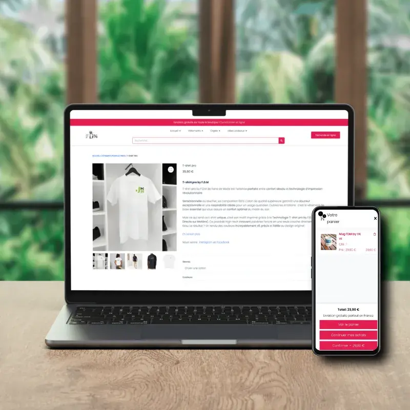 Pack Site E-commerce, Agence Web Hérault